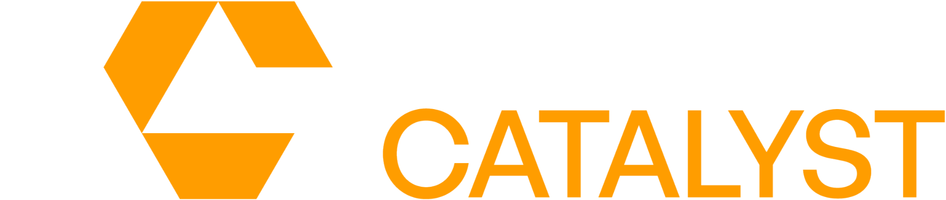 India Catalyst - Building Bridges Between Europe and India